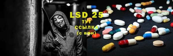 стаф Надым