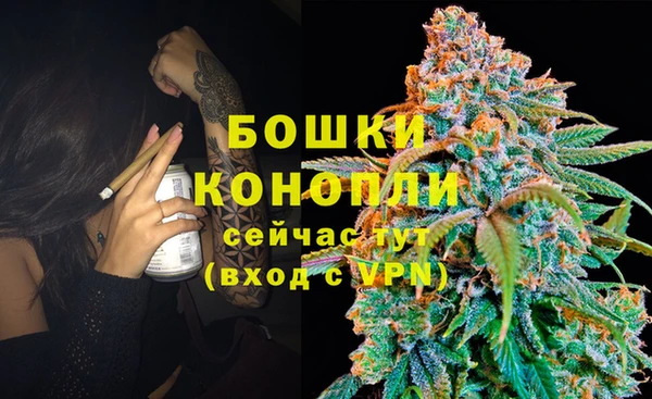 ПСИЛОЦИБИНОВЫЕ ГРИБЫ Навашино