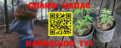 ешки Будённовск