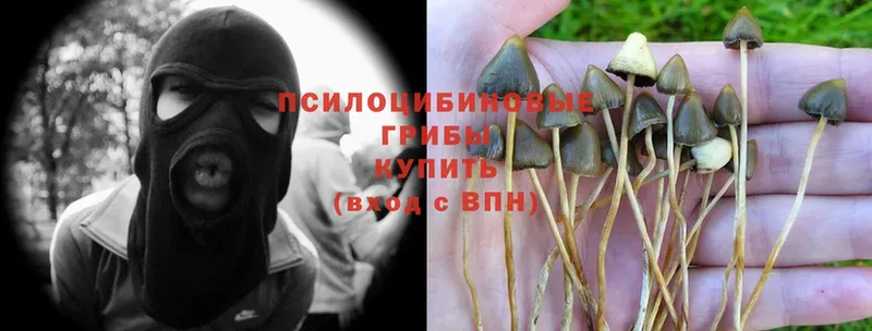 Псилоцибиновые грибы MAGIC MUSHROOMS  Магадан 