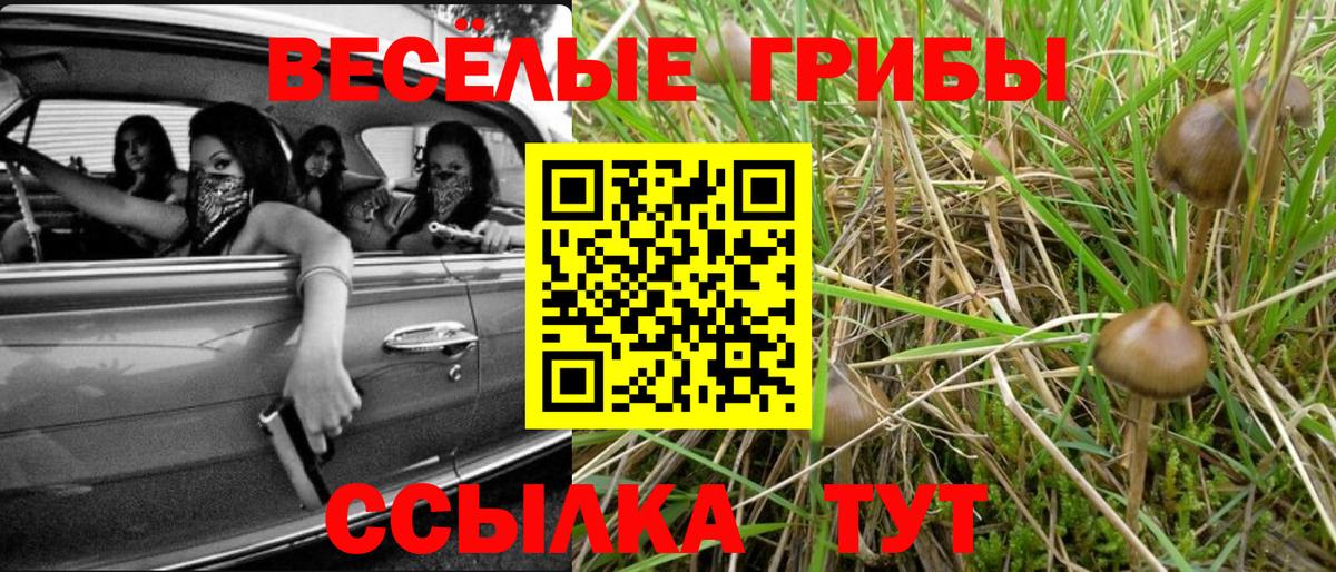 Галлюциногенные грибы мухоморы  Вход с VPN  Магадан 