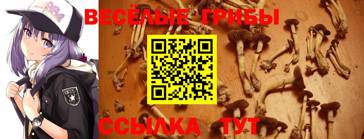 Псилоцибиновые грибы ЛСД Магадан