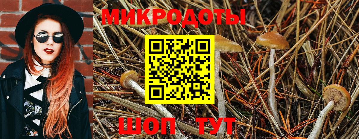 Галлюциногенные грибы прущие грибы  Магадан  магазин  наркотиков  Псилоцибиновые грибы прущие грибы 