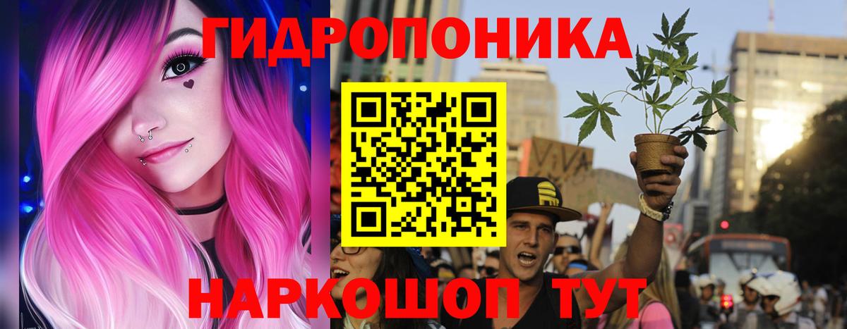 Канабис White Widow  Вход с VPN  Конопля ГИДРОПОН  Магадан  Канабис тримм 